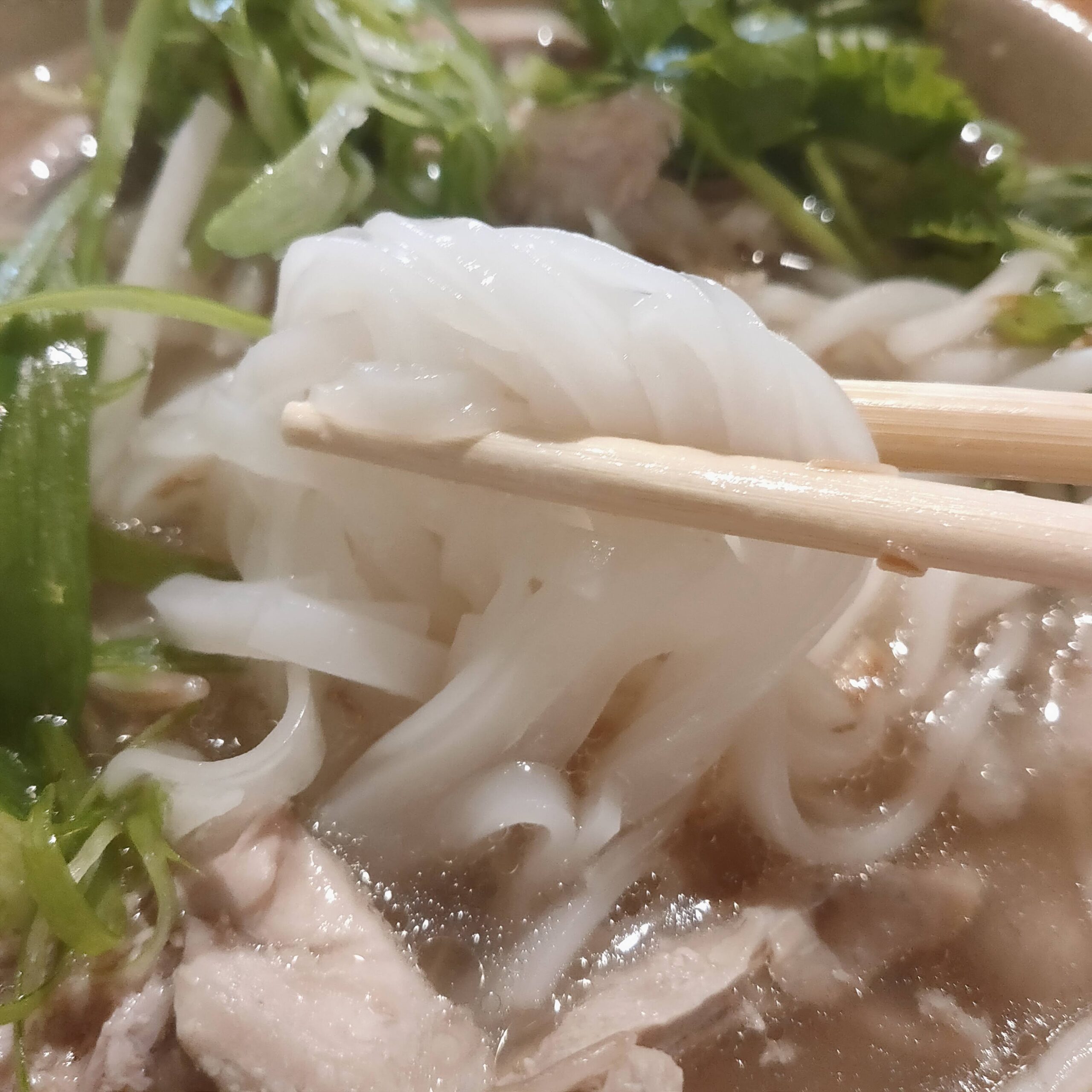 アンゴン　フォーの麺
